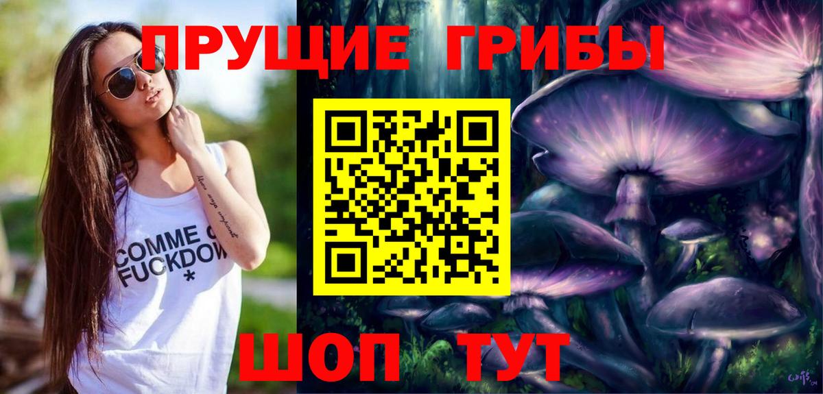 Псилоцибиновые грибы Psilocybe  Галлюциногенные грибы мицелий  Ачхой-Мартан  Вход с VPN 